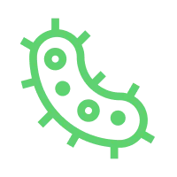 mycorrhizal-fungi-&-beneficial-bacteria